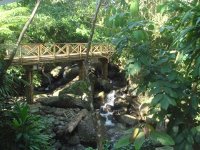 Dominica Bridge