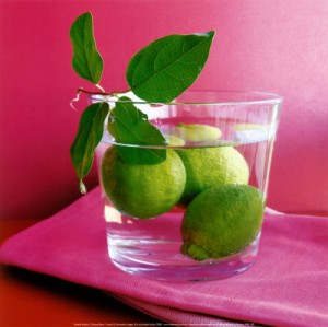 Limes 3